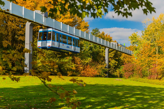 The H-Bahn is running and is surrounded by trees in autumnal colors.